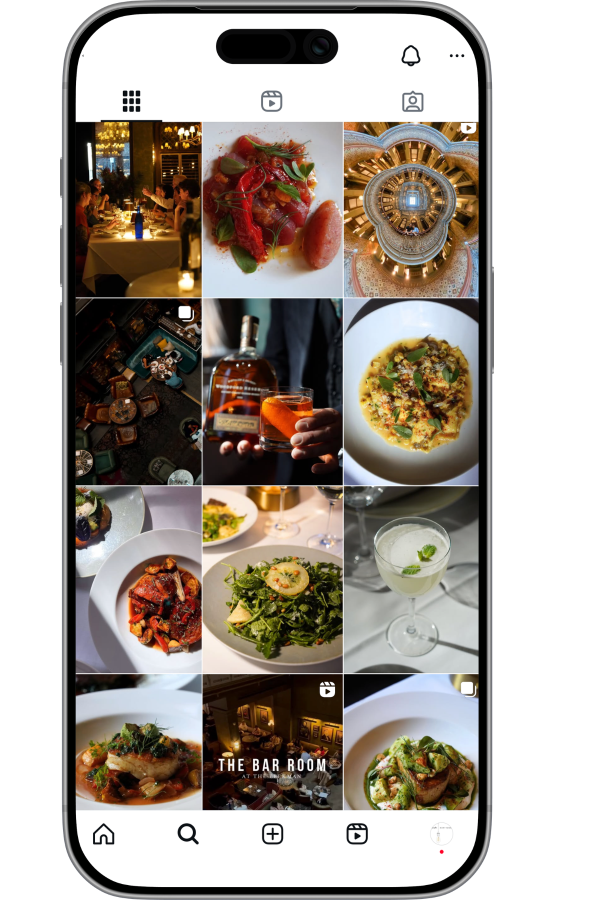 Temple Court Instagram Feed